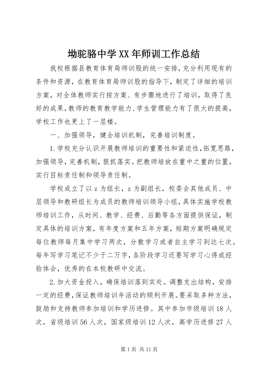 2023年坳驼骆中学师训工作总结新编.docx_第1页