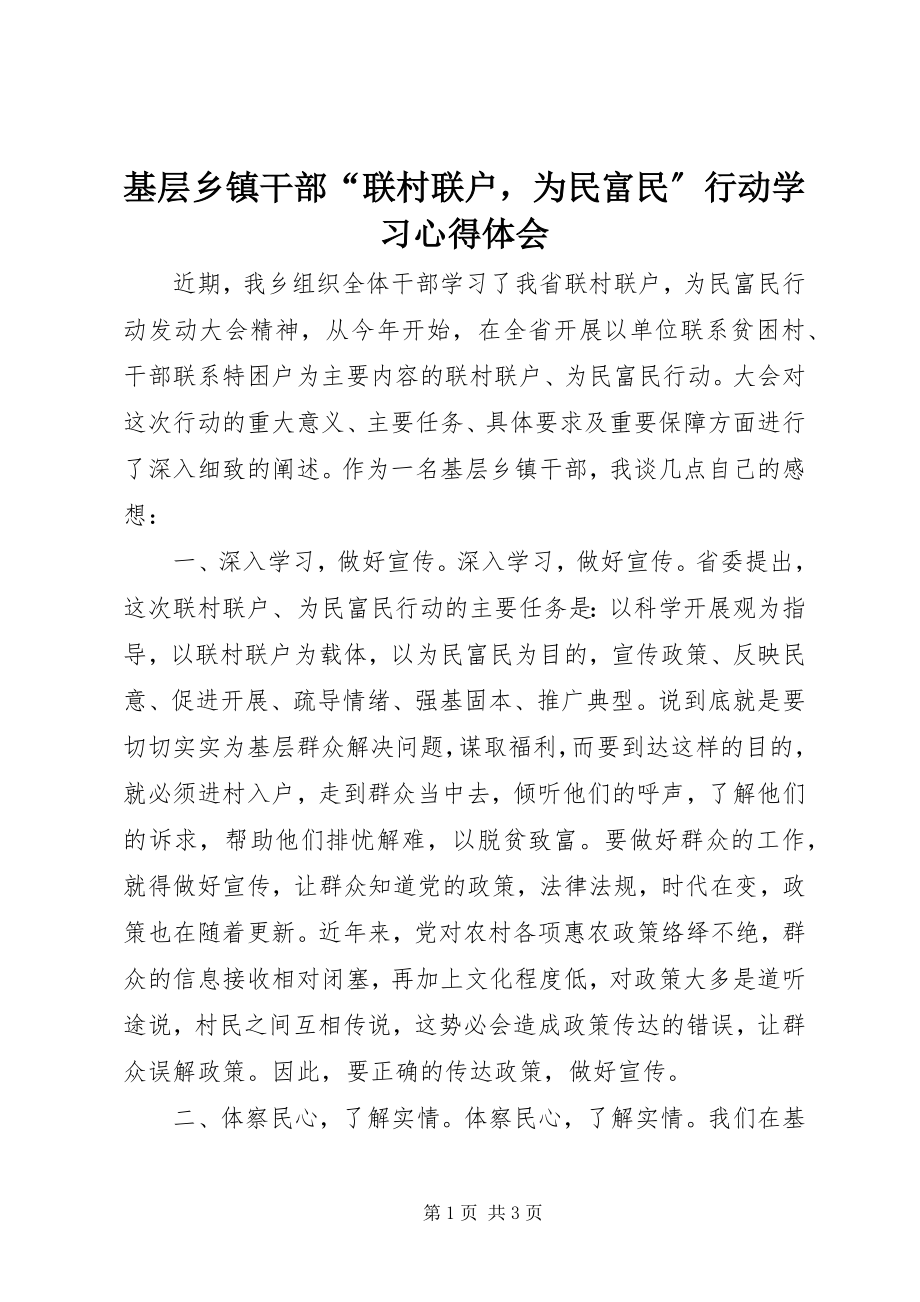 2023年基层乡镇干部“联村联户为民富民”行动学习心得体会.docx_第1页