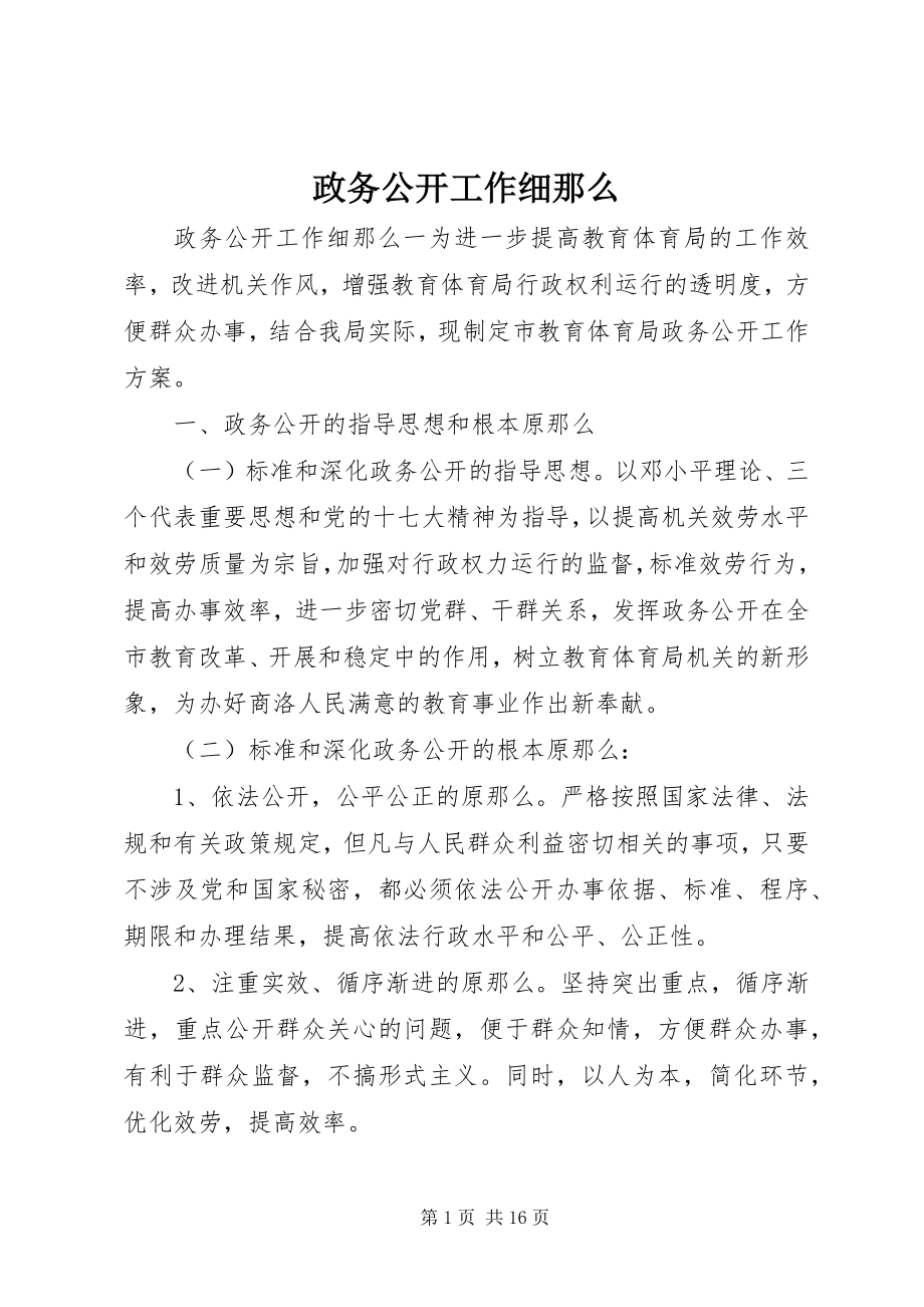 2023年政务公开工作细则.docx_第1页