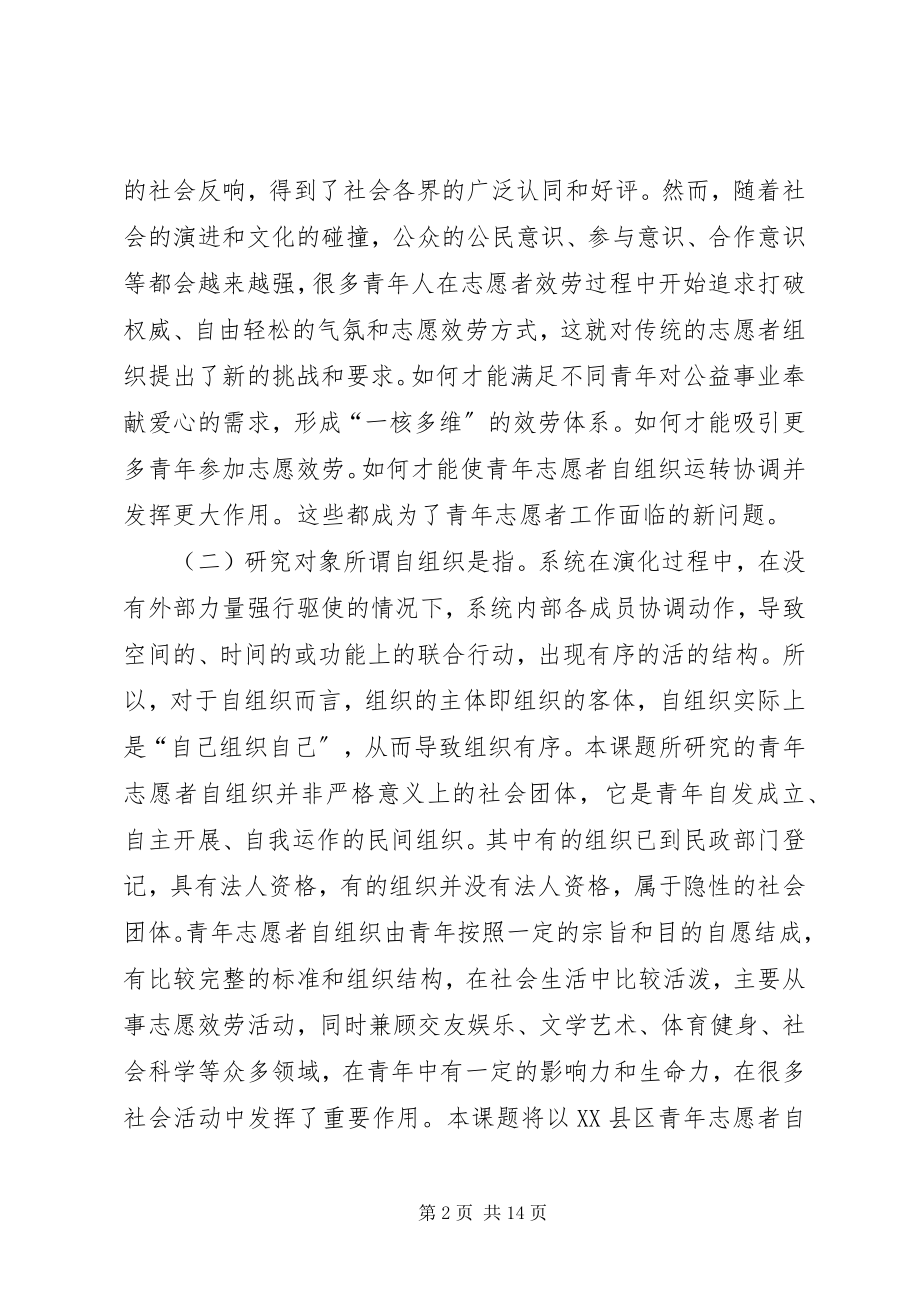 2023年青志愿者自组织发展的思考.docx_第2页