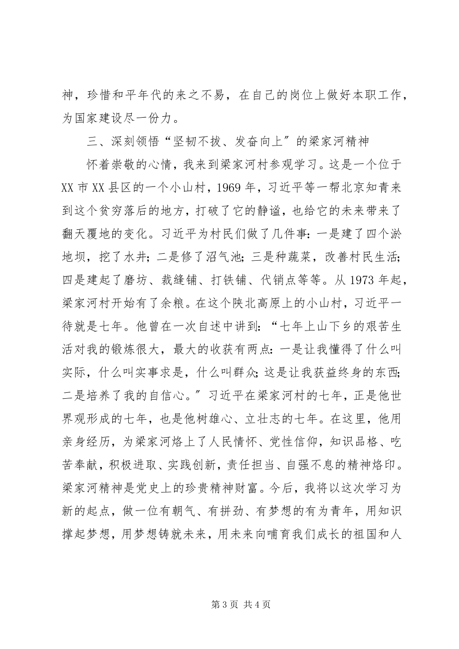 2023年弘扬延安精神筑牢为民情怀赴延安学习心得体会.docx_第3页