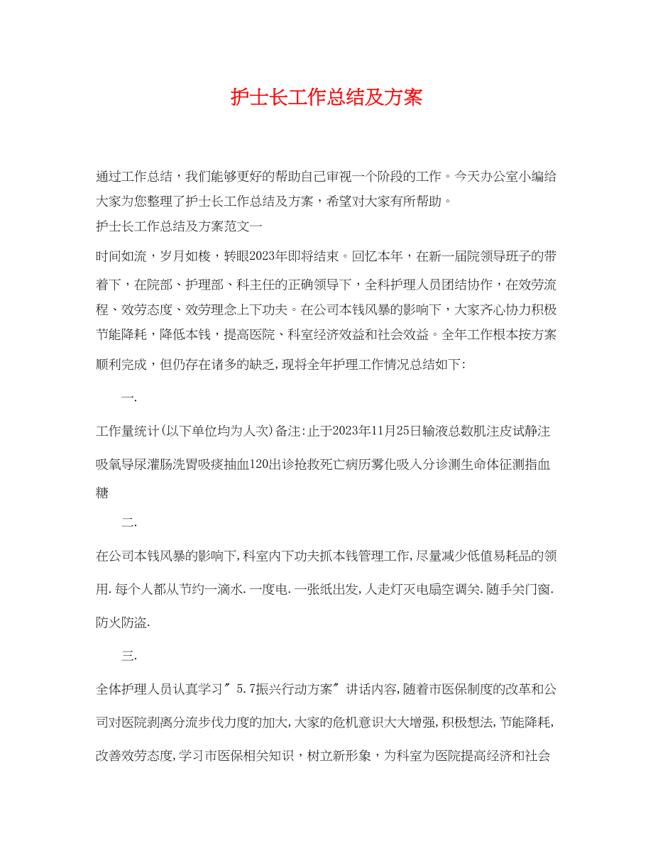 2023年护士长工作总结及计划.docx_第1页