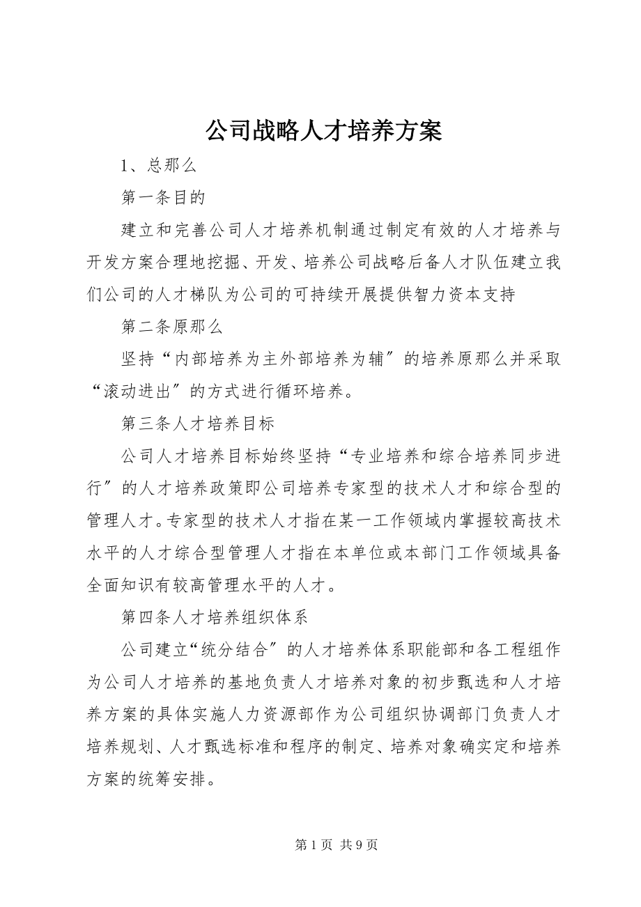 2023年公司战略人才培养方案.docx_第1页