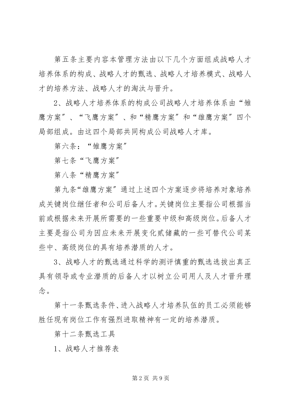 2023年公司战略人才培养方案.docx_第2页