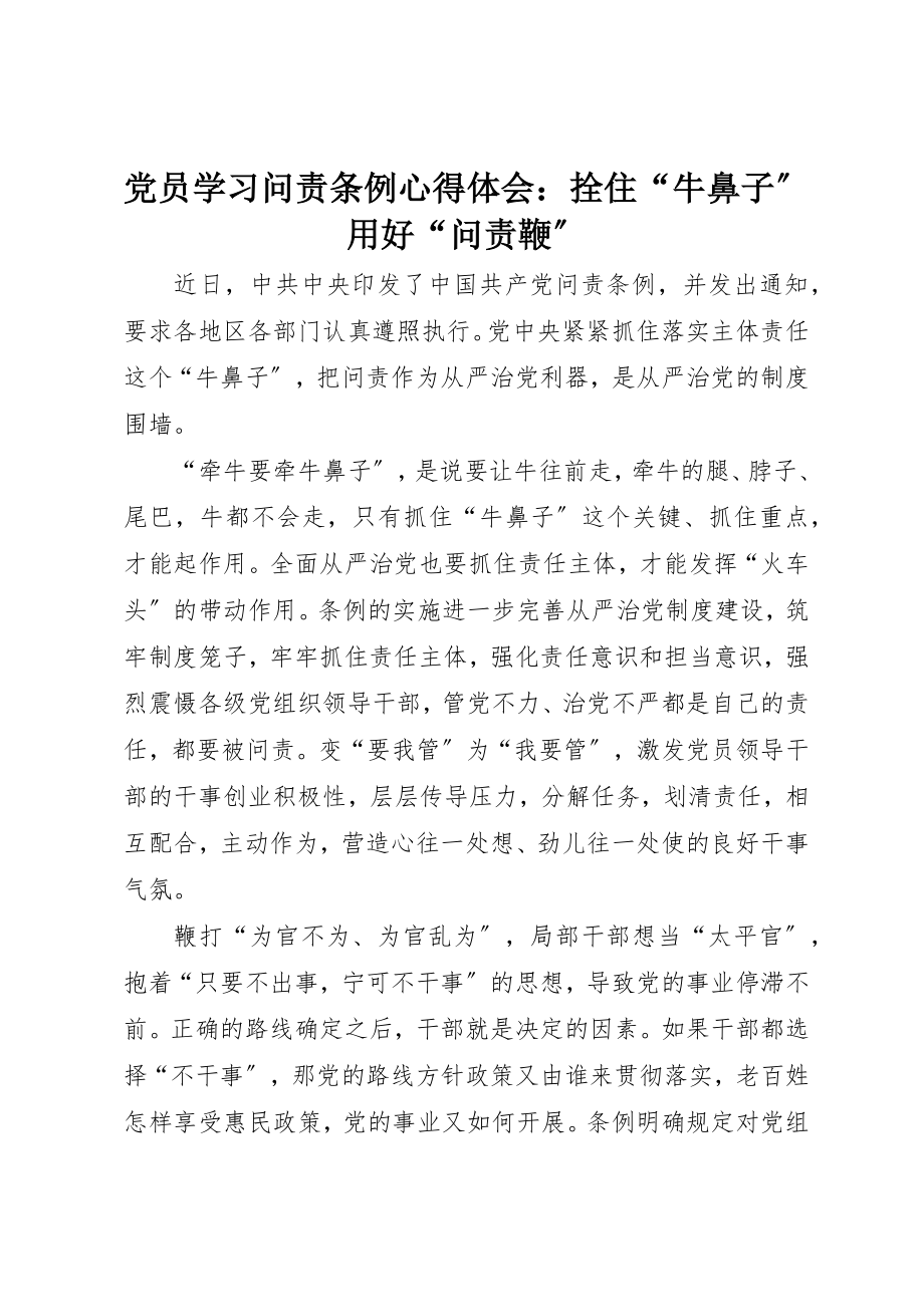 2023年党员学习《问责条例》心得体会拴住“牛鼻子”用好“问责鞭”.docx_第1页