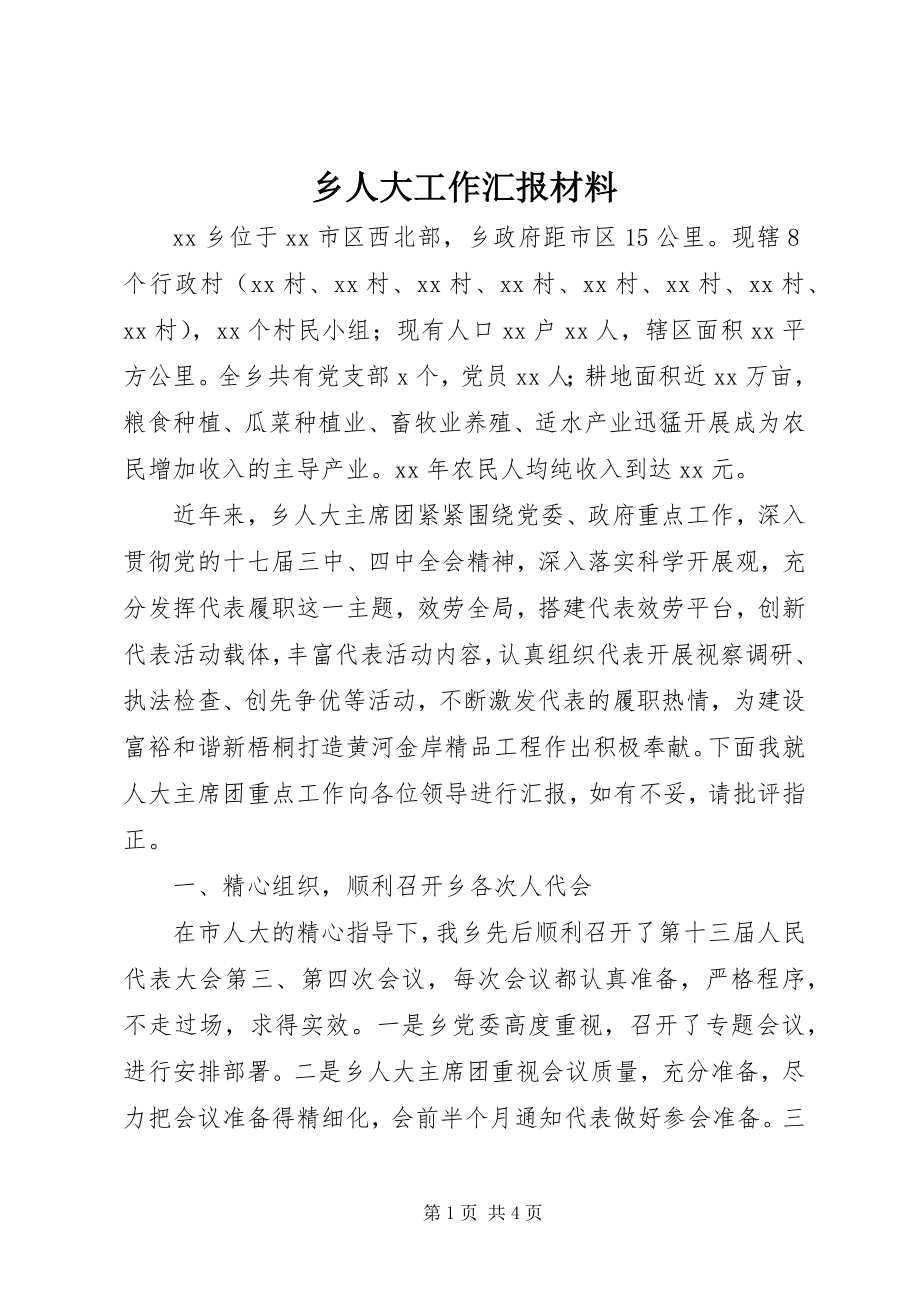 2023年乡人大工作汇报材料.docx_第1页