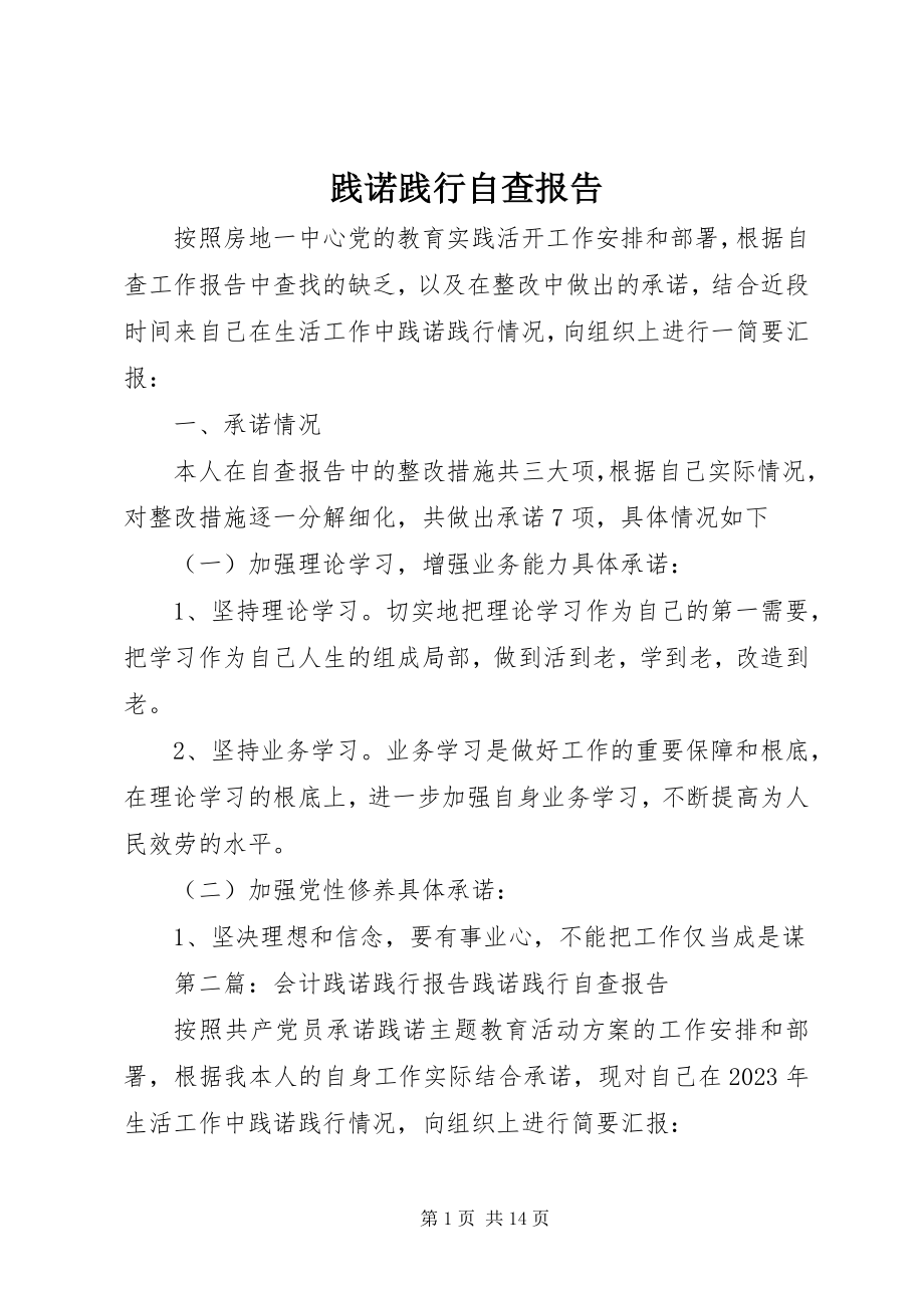 2023年践诺践行自查报告.docx_第1页