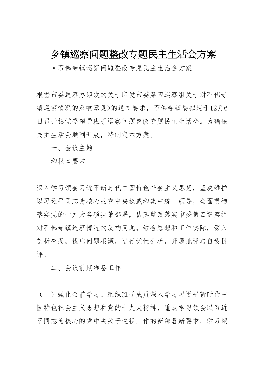 2023年乡镇巡察问题整改专题民主生活会方案 3.doc_第1页