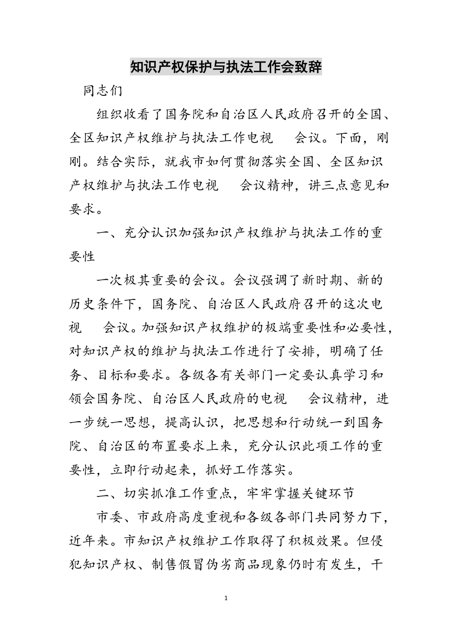 2023年知识产权保护与执法工作会致辞范文.doc_第1页