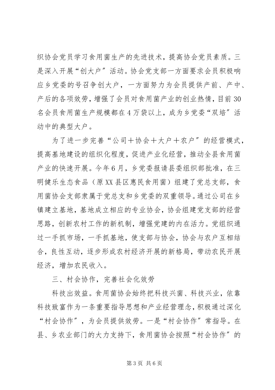 2023年乡镇党委基层组织创新交流材料.docx_第3页