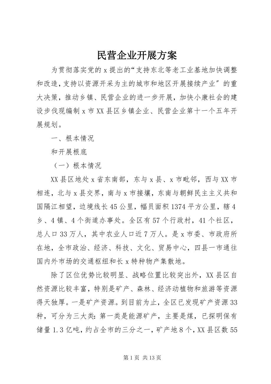 2023年民营企业发展计划.docx_第1页