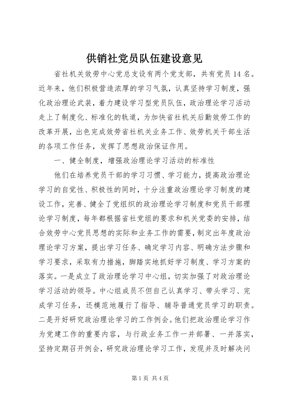 2023年供销社党员队伍建设意见.docx_第1页