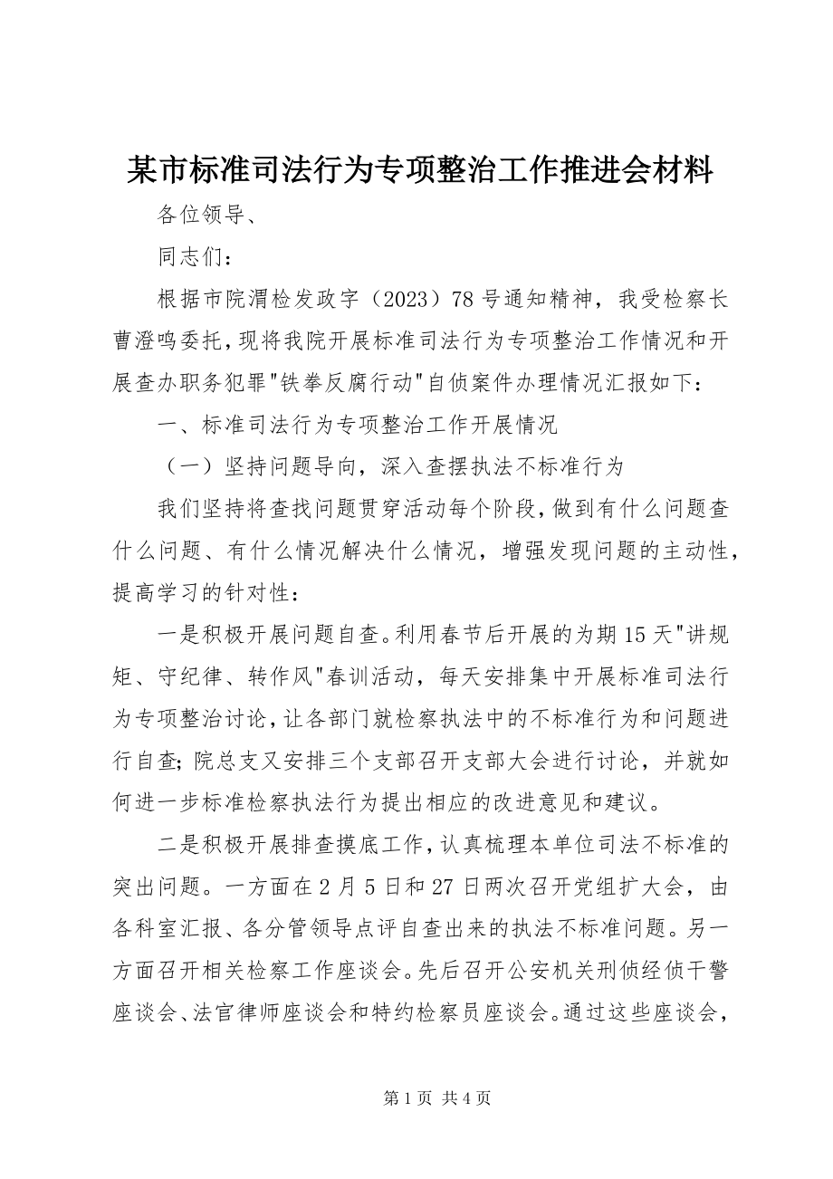 2023年xx市规范司法行为专项整治工作推进会材料.docx_第1页