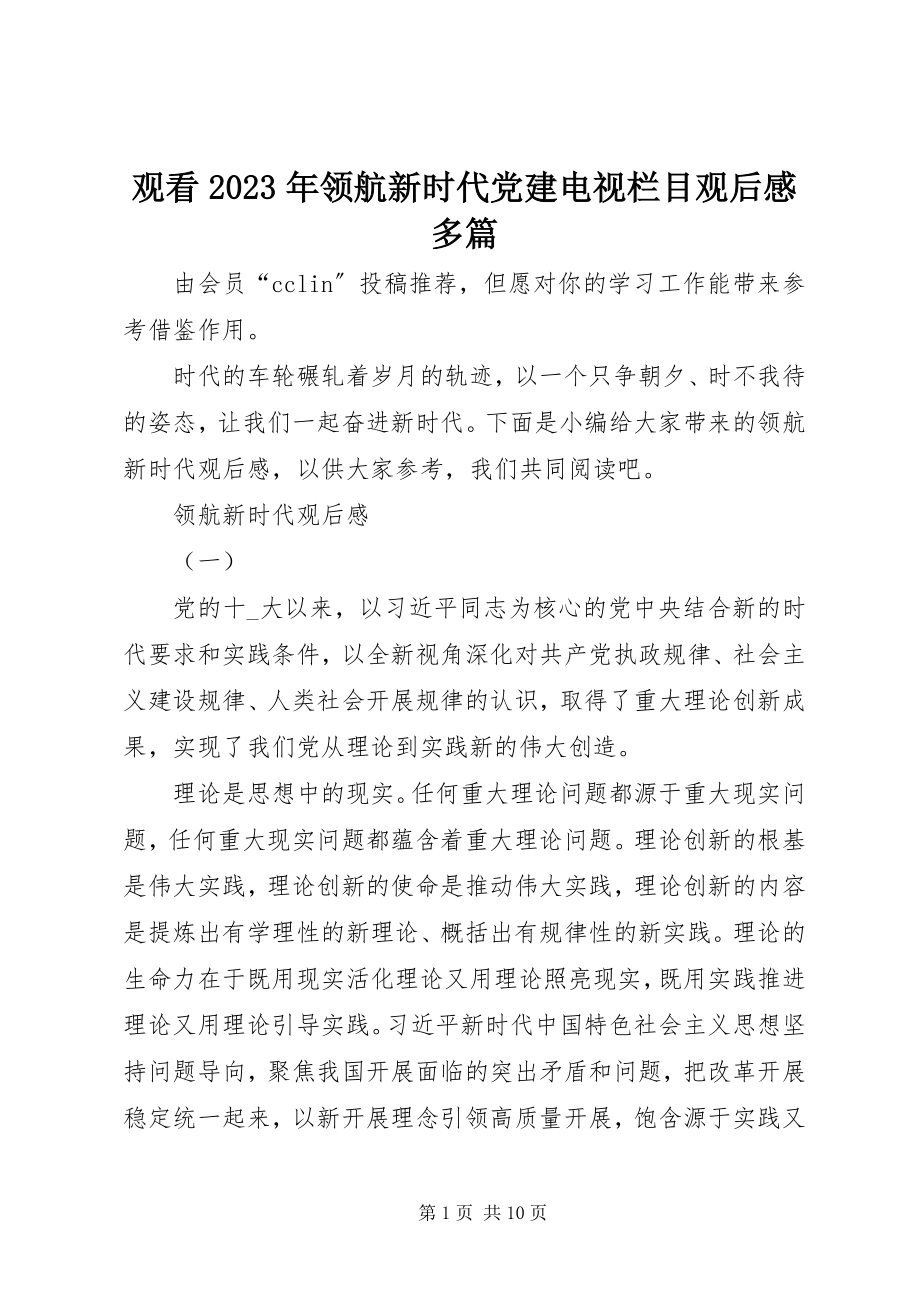 2023年观看《领航新时代》党建电视栏目观后感多篇.docx_第1页