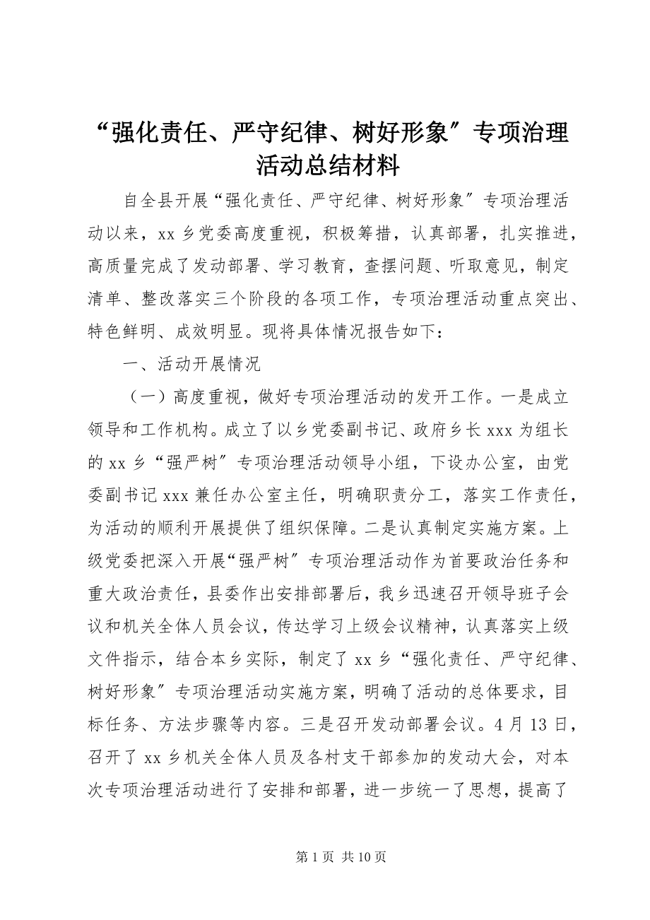 2023年强化责任严守纪律树好形象专项治理活动总结材料.docx_第1页