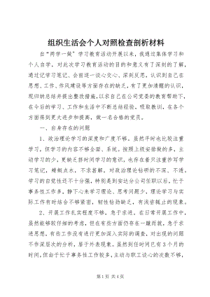 2023年组织生活会个人对照检查剖析材料.docx