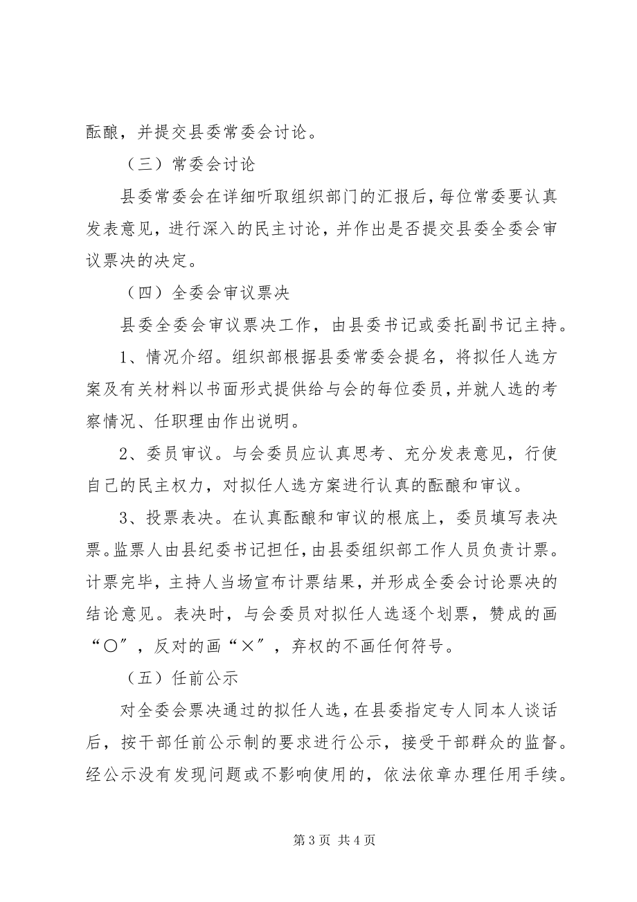 2023年县委全委会无记名票决制意见.docx_第3页