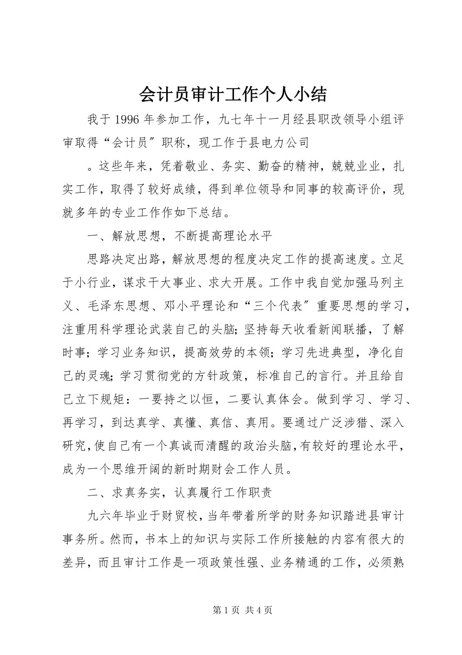 2023年会计员审计工作个人小结.docx_第1页