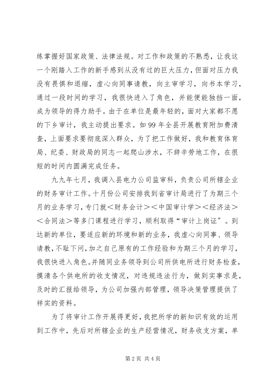 2023年会计员审计工作个人小结.docx_第2页