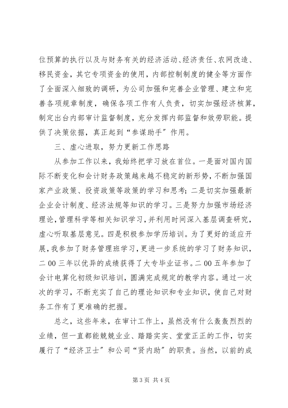 2023年会计员审计工作个人小结.docx_第3页