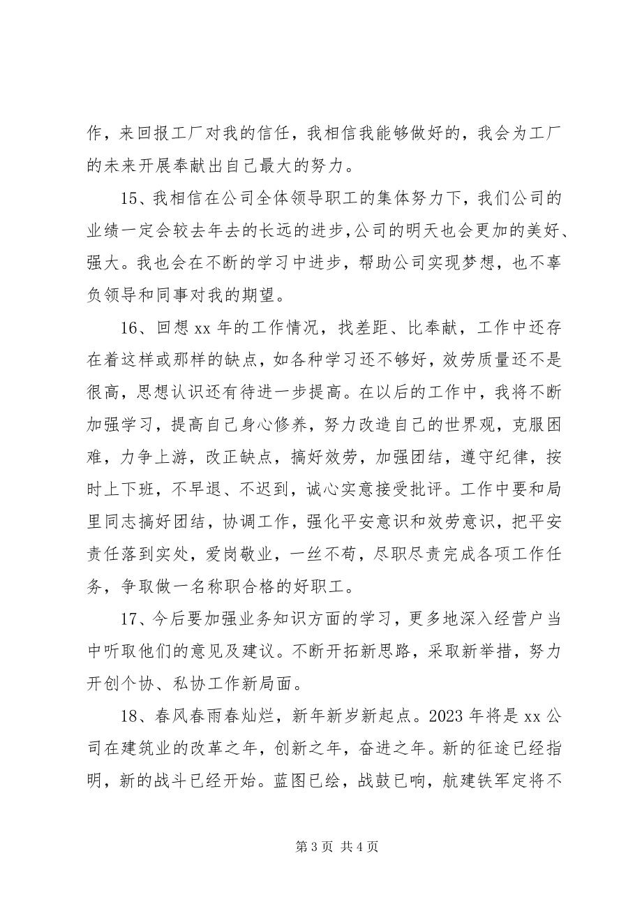 2023年个人终总结结尾.docx_第3页