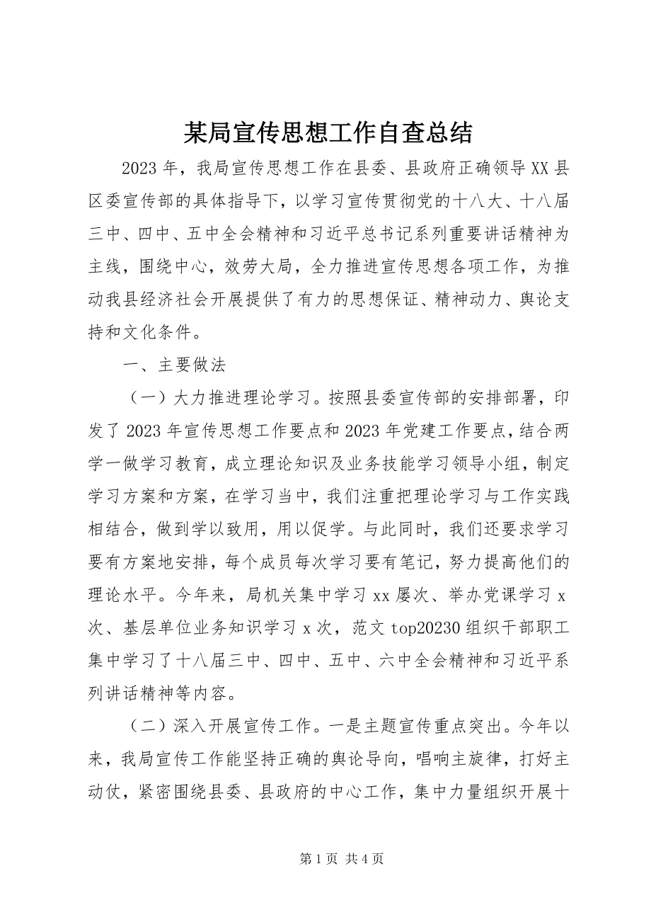 2023年某局宣传思想工作自查总结.docx_第1页