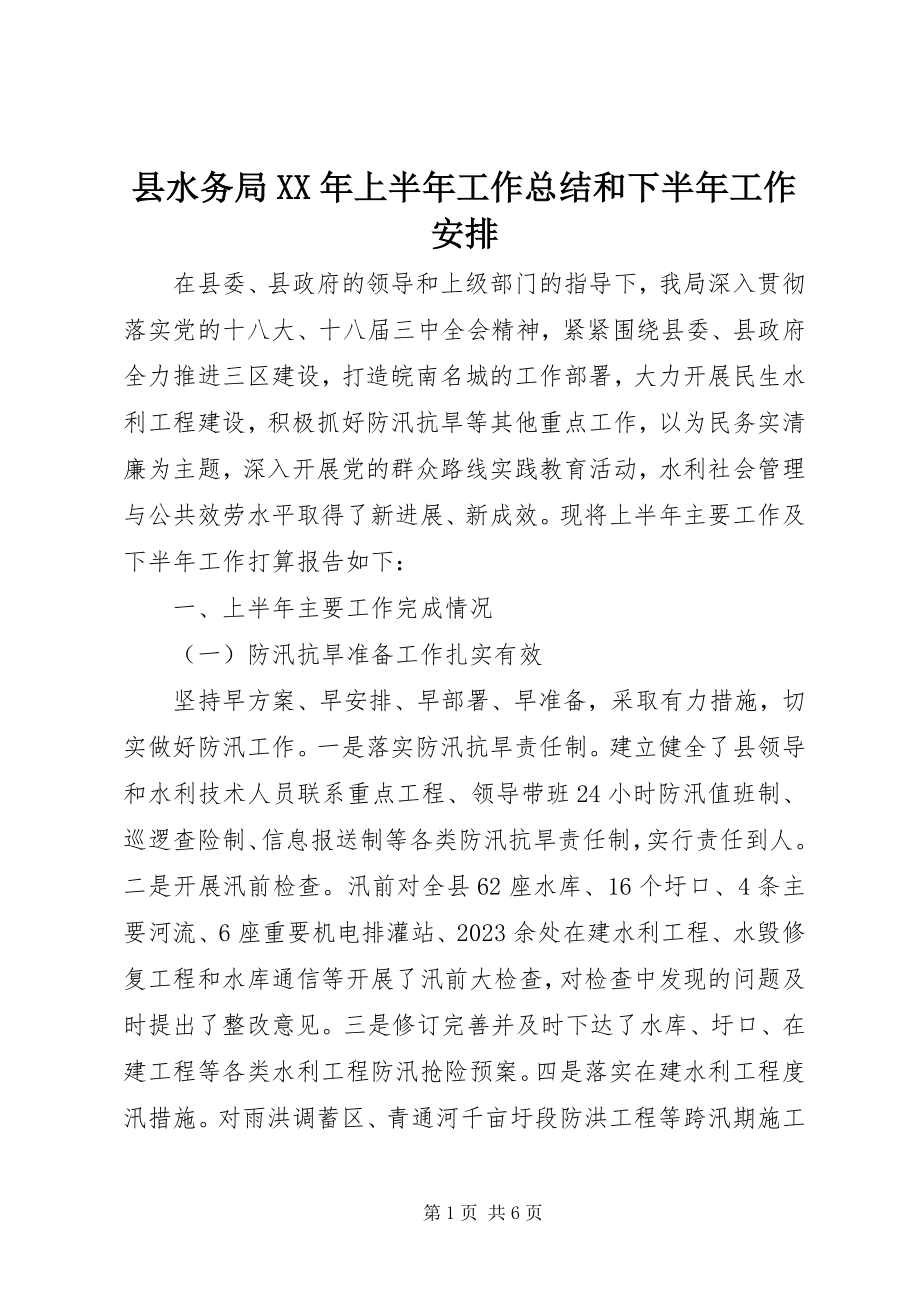 2023年县水务局上半年工作总结和下半年工作安排.docx_第1页