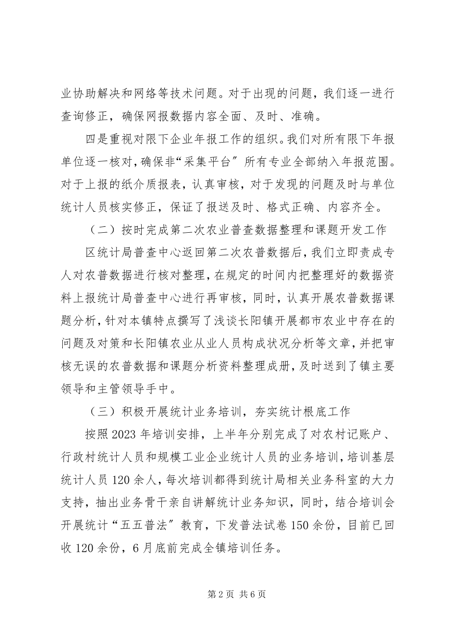 2023年上半年乡镇统计工作总结.docx_第2页