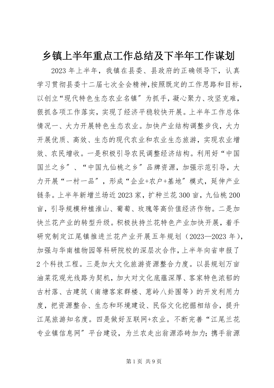 2023年乡镇上半年重点工作总结及下半年工作谋划.docx_第1页