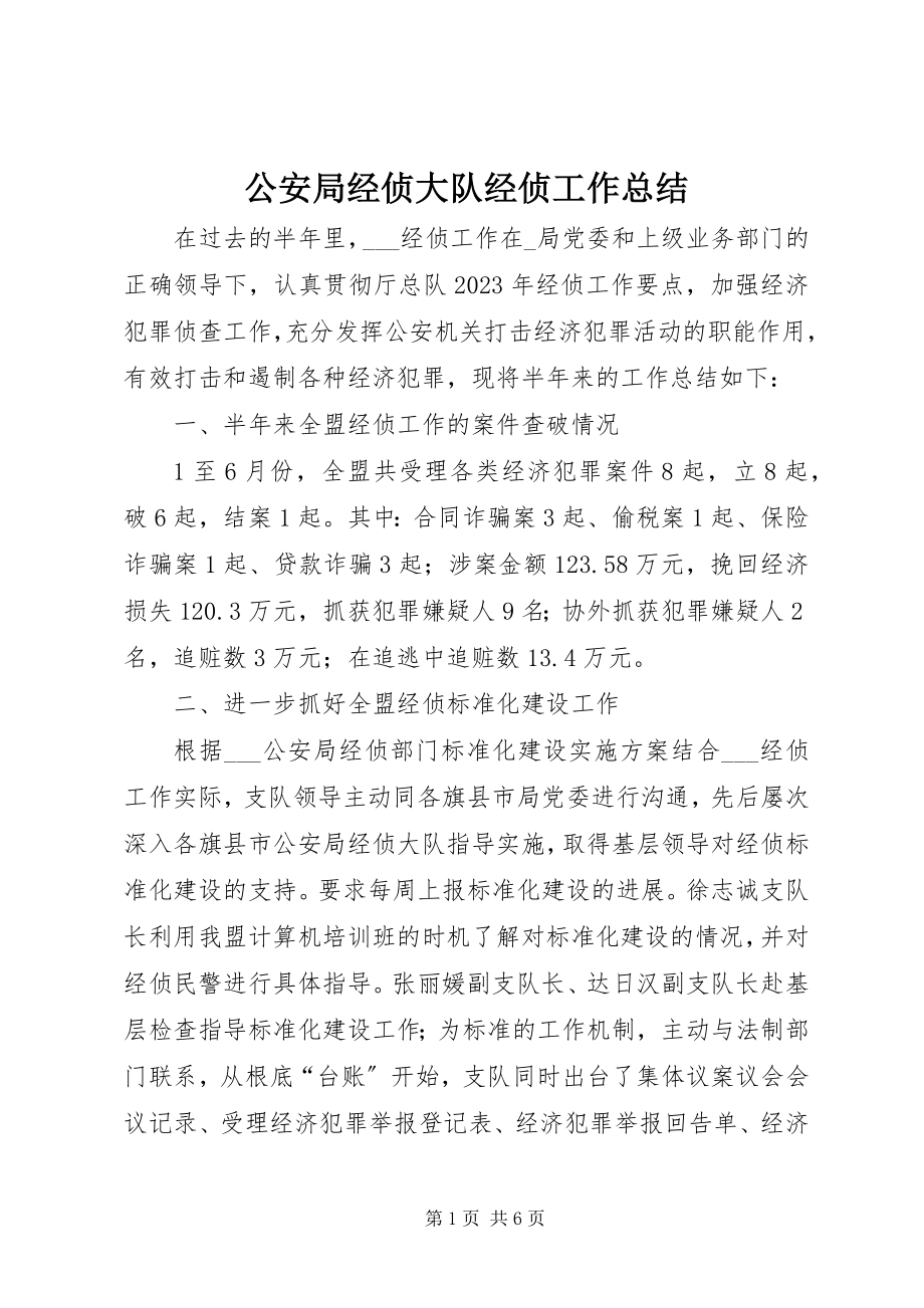 2023年公安局经侦大队经侦工作总结.docx_第1页