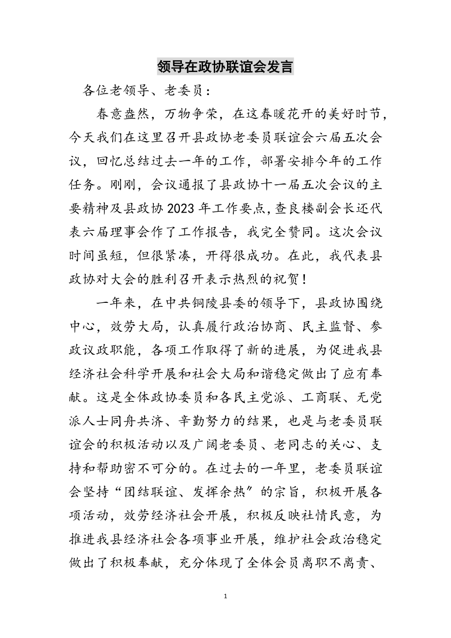 2023年领导在政协联谊会发言范文.doc_第1页