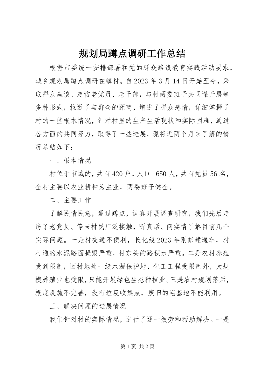 2023年规划局蹲点调研工作总结.docx_第1页