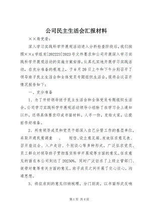 2023年公司民主生活会汇报材料.docx