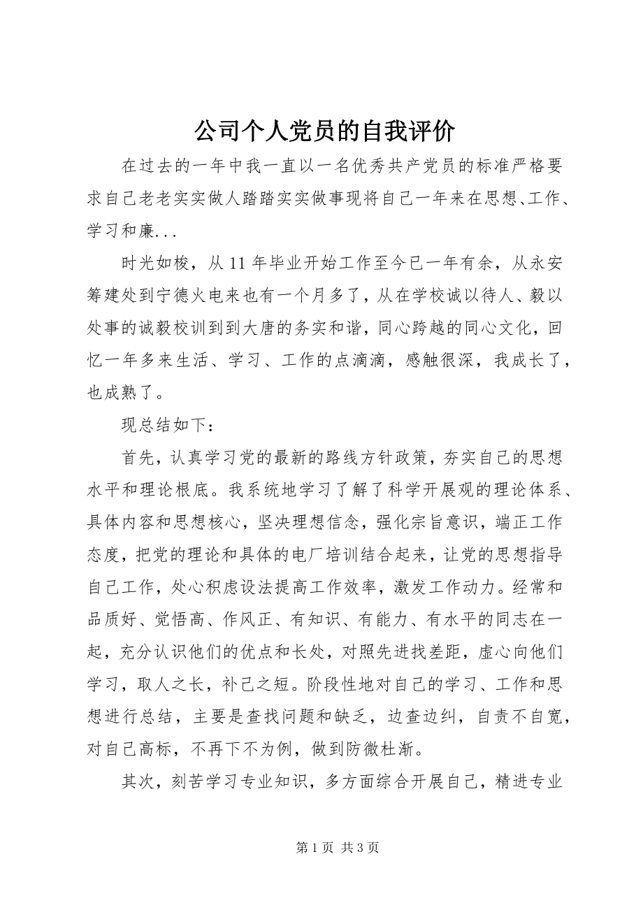 2023年公司个人党员的自我评价.docx_第1页