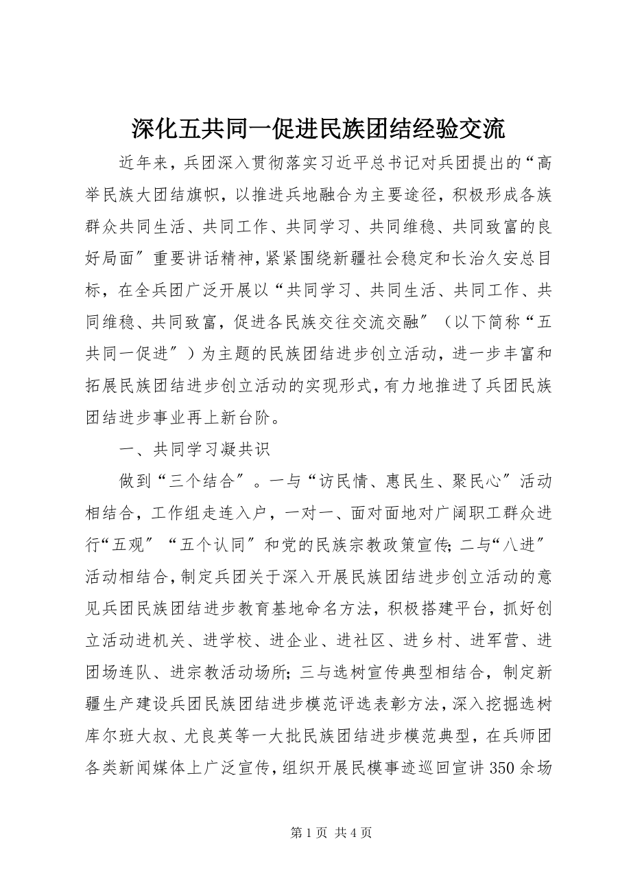 2023年深化五共同一促进民族团结经验交流.docx_第1页