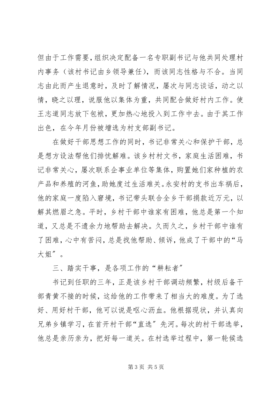 2023年某某乡党委副书记某某同志先进事迹.docx_第3页