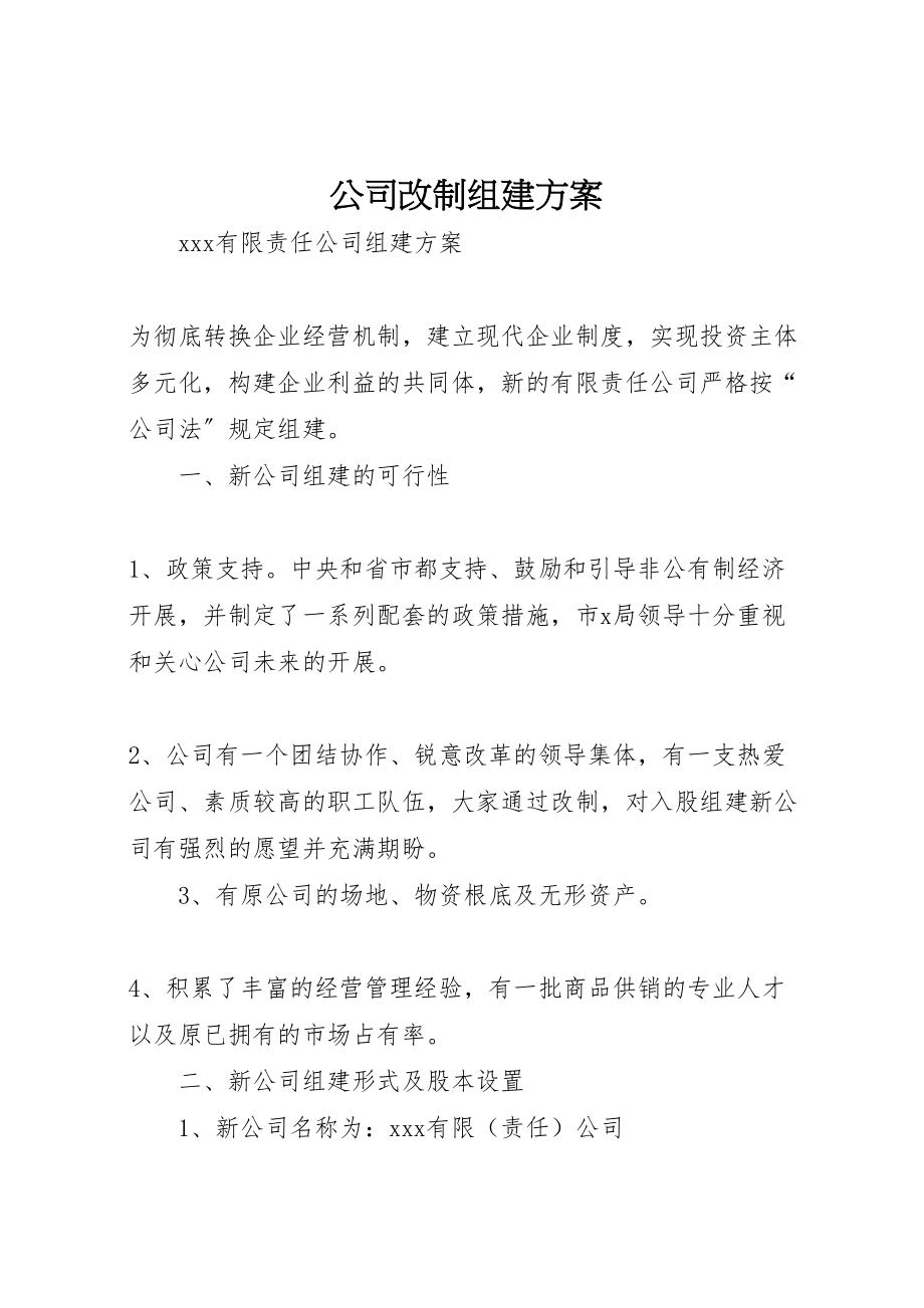 2023年公司改制组建方案.doc_第1页