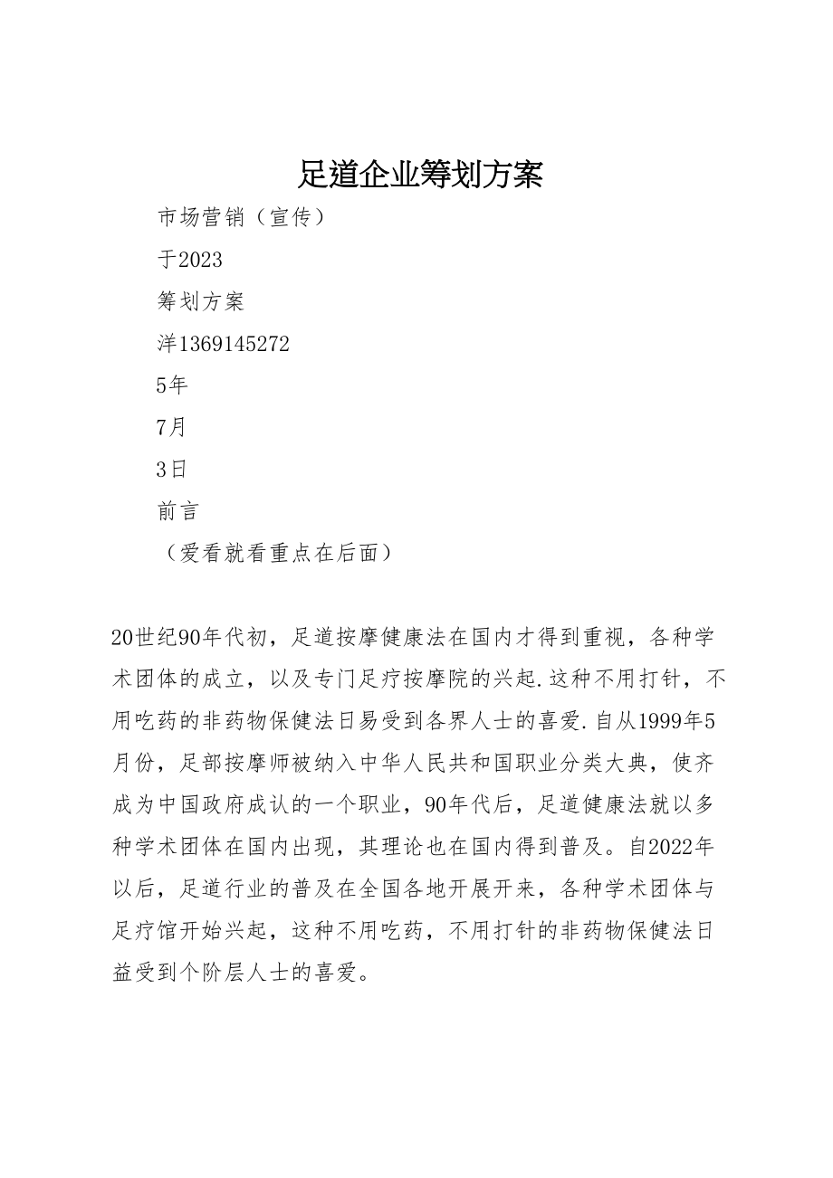 2023年足道企业策划方案.doc_第1页