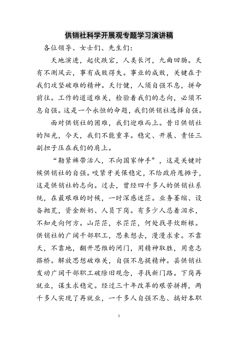 2023年供销社科学发展观专题学习演讲稿范文.doc_第1页