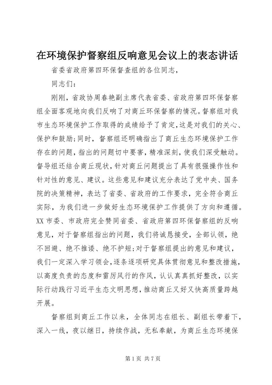 2023年在环境保护督察组反馈意见会议上的表态致辞.docx_第1页