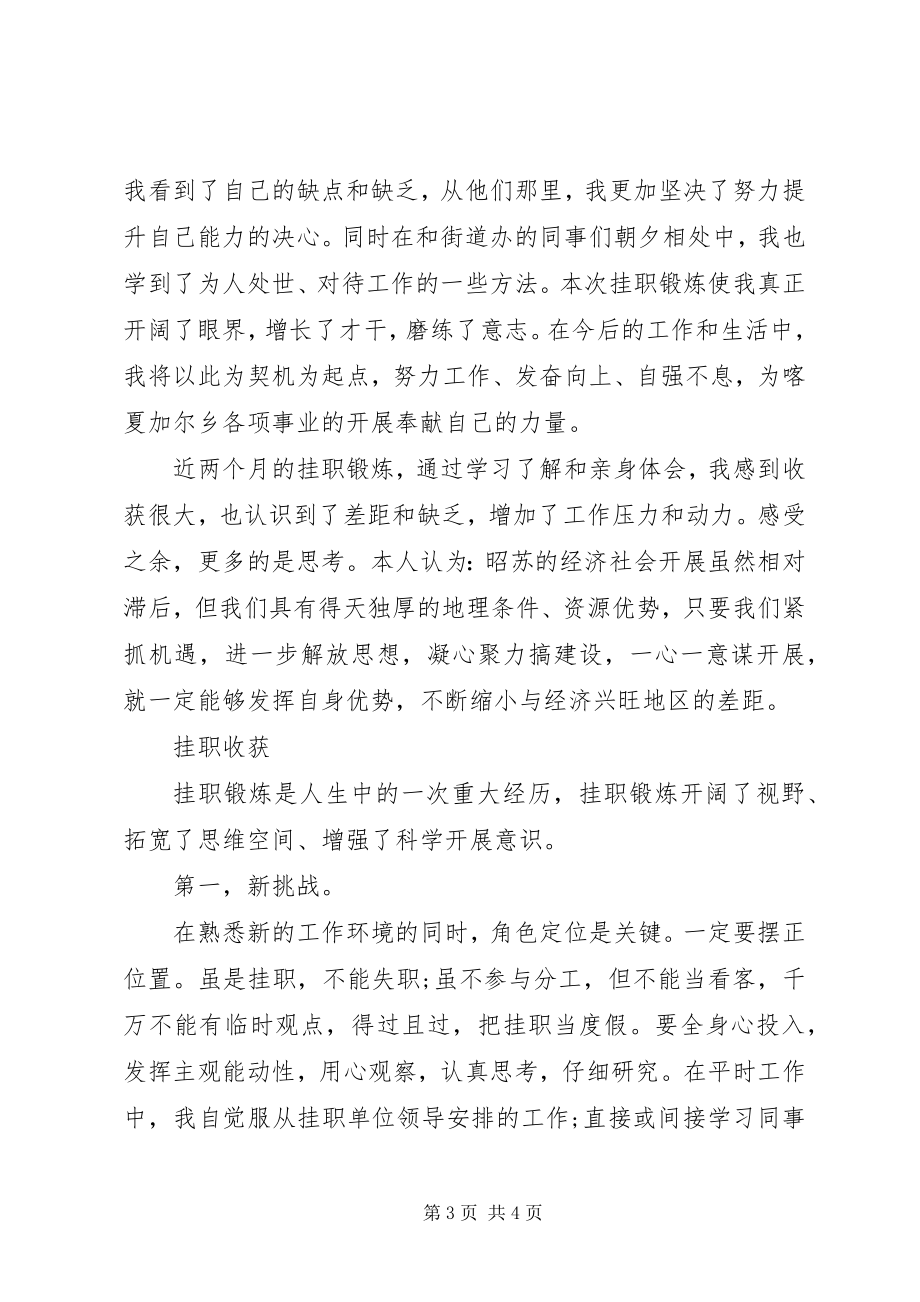 2023年海门街道办事处挂职学习心得体会.docx_第3页