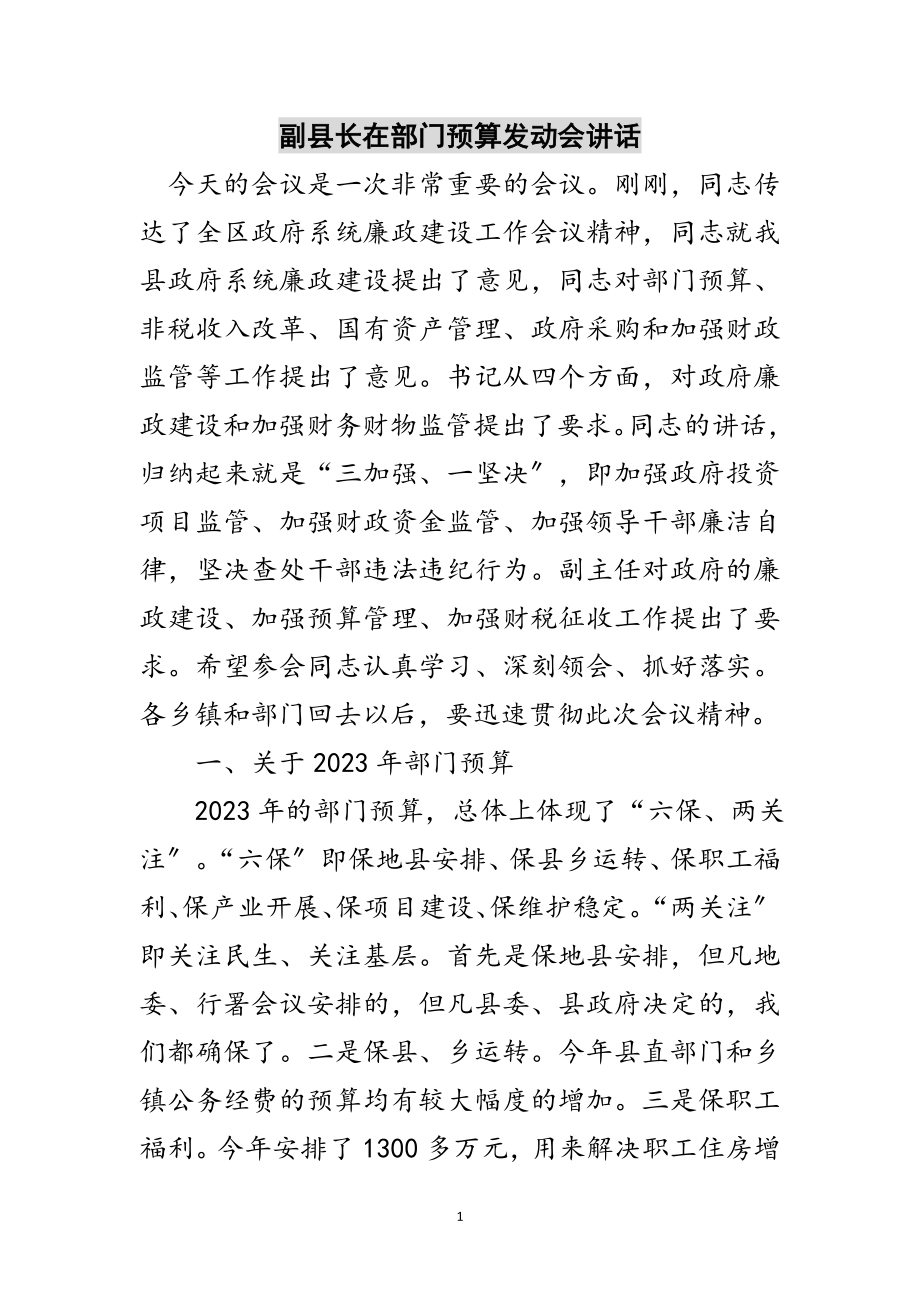 2023年副县长在部门预算动员会讲话范文.doc_第1页