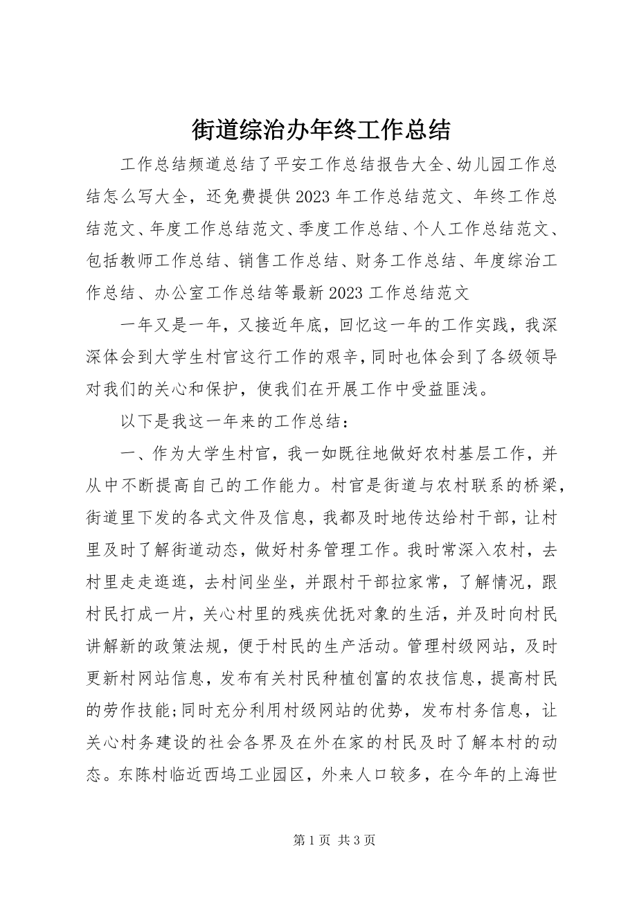 2023年街道综治办终工作总结.docx_第1页