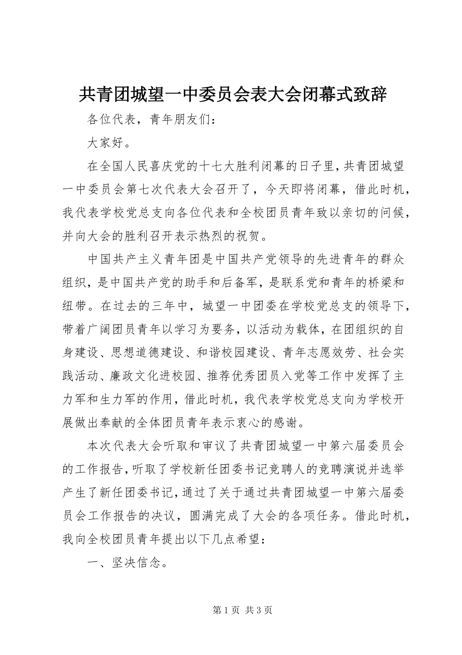 2023年共青团城望一中委员会表大会闭幕式致辞.docx_第1页