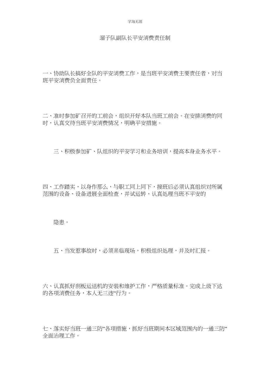 2023年溜子队副队长安全生产责任制.docx_第1页