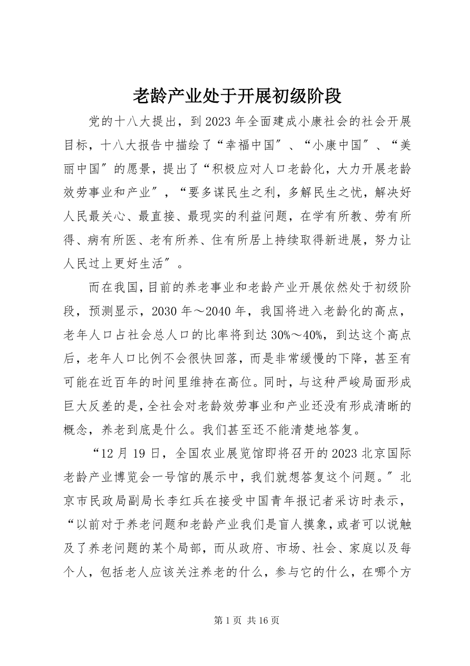 2023年老龄产业处于发展初级阶段.docx_第1页