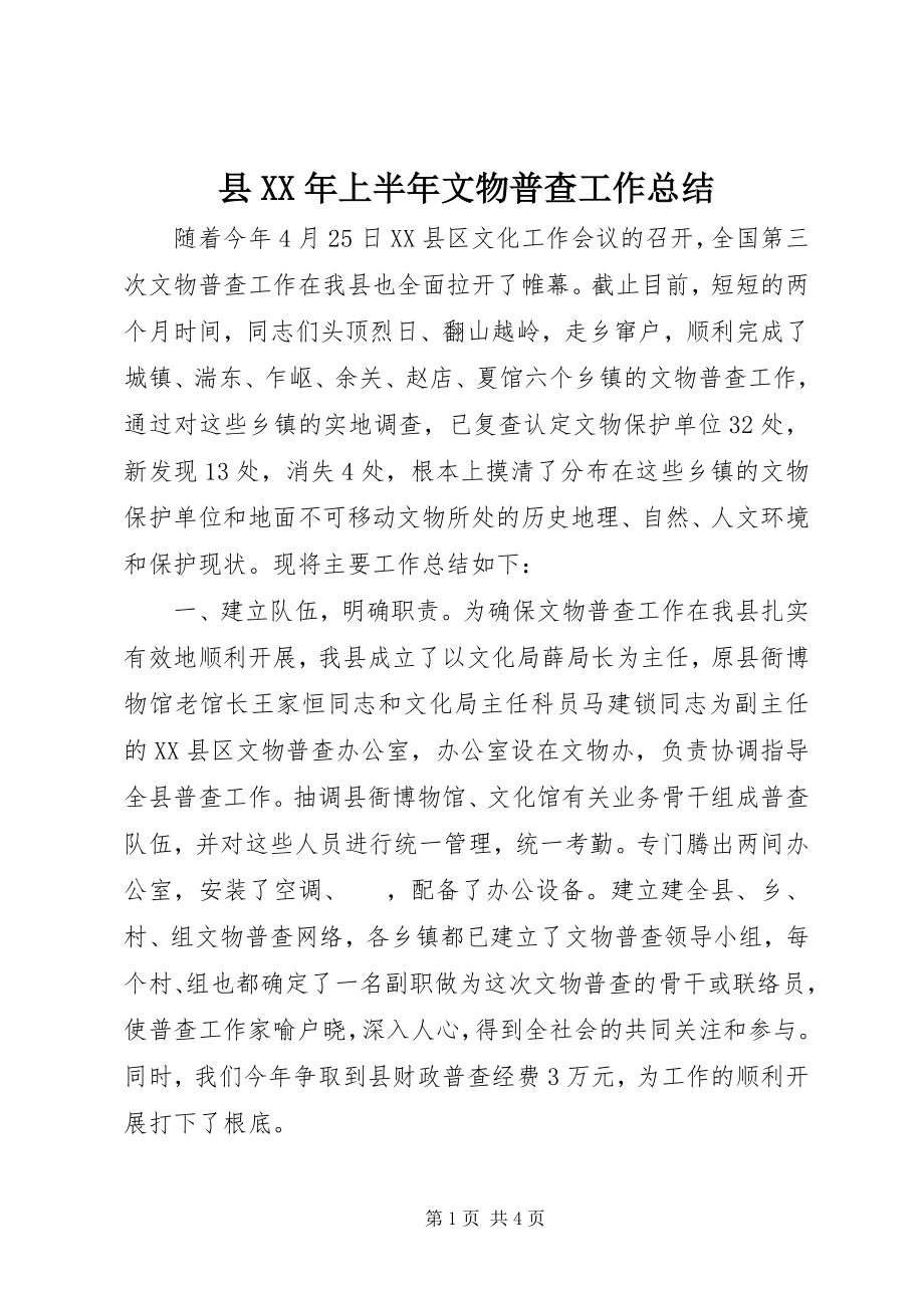 2023年县上半年文物普查工作总结.docx_第1页