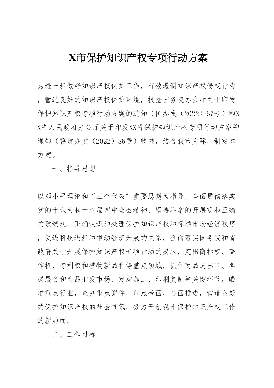 2023年市保护知识产权专项行动方案 5.doc_第1页