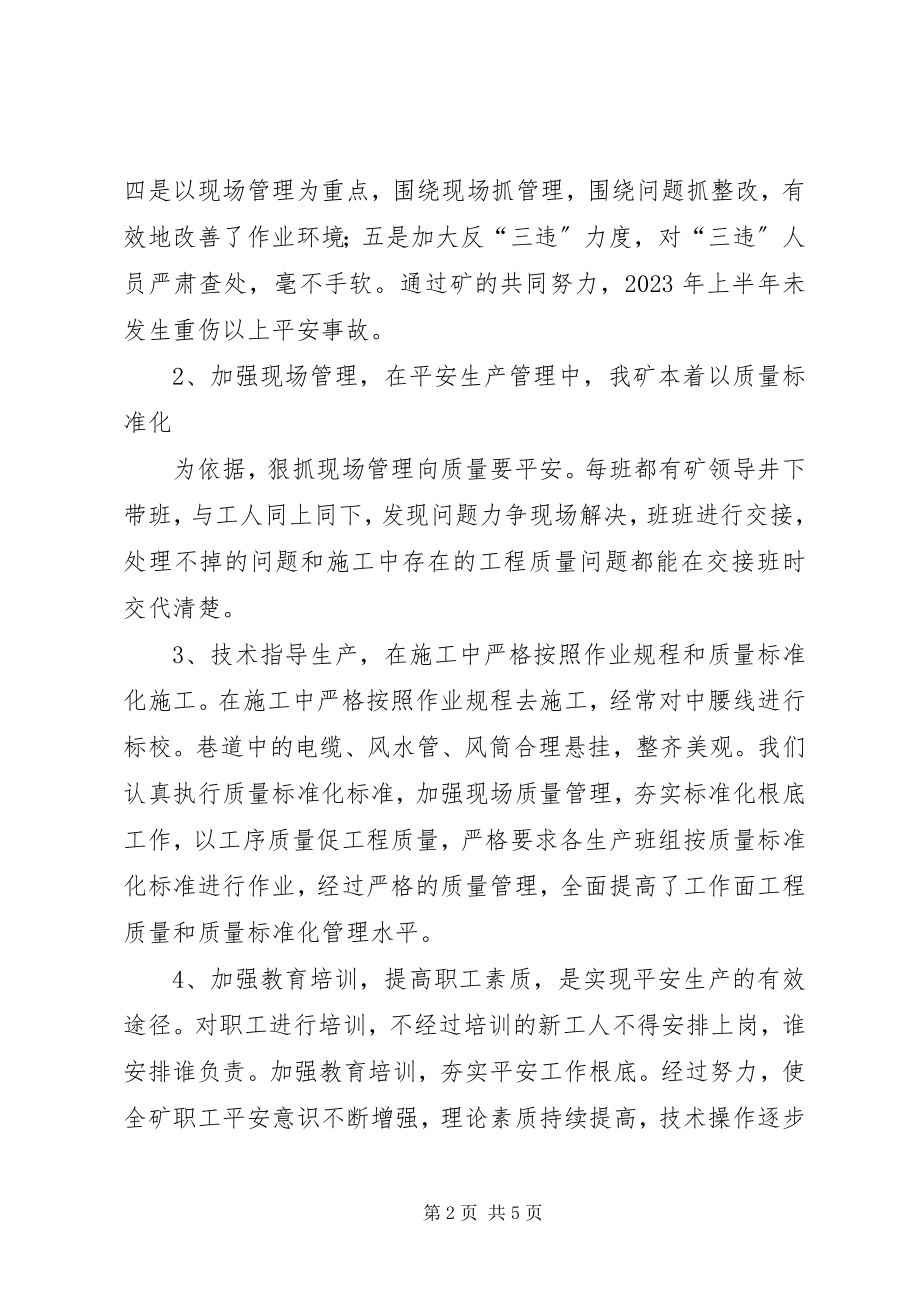 2023年上半年工作总结及下半年工作安排新编.docx_第2页