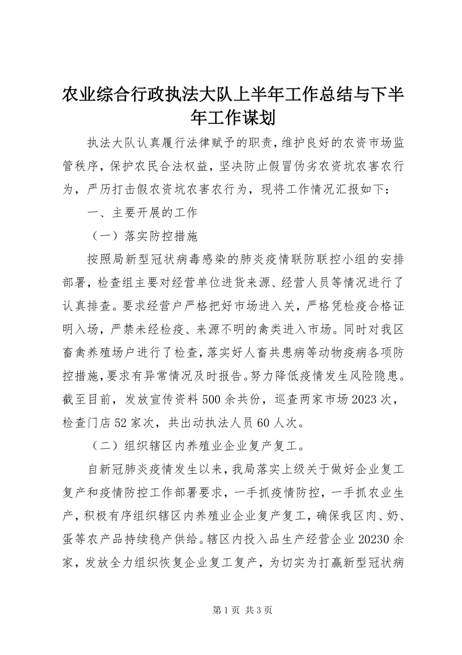 2023年农业综合行政执法大队上半年工作总结与下半年工作谋划.docx_第1页